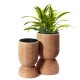 Straw Plant Pot Small